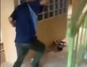 Photo of 数少年掷石虐狗还拍视频 网促有关当局严惩