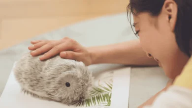 Photo of 日本AI宠物机器人走红 陪伴式互动引发情感共鸣