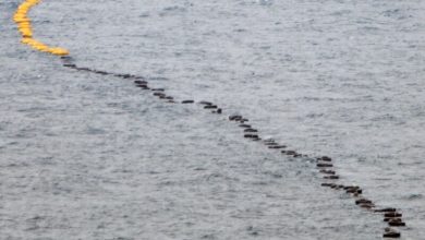 Photo of 日经:美国将修改海底电缆规则 供应链排除中国企业