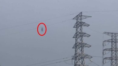 Photo of 男子疑触电身 尸体挂20层楼高电缆