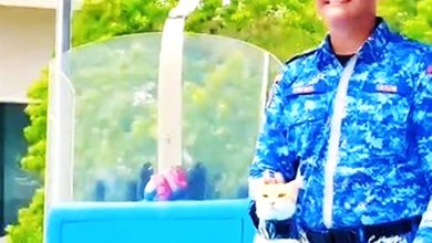 Photo of 视频〡从Oyen猫到爱国小男孩 国庆游行彩排画面好暖