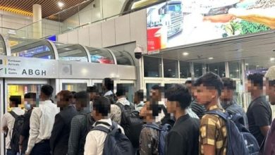 Photo of 边管机构严打非法入境 严查凌晨航班阻不符条件者入境