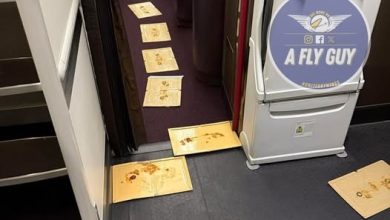 Photo of 飞机发现老鼠 航空公司放大招捉”杰里”
