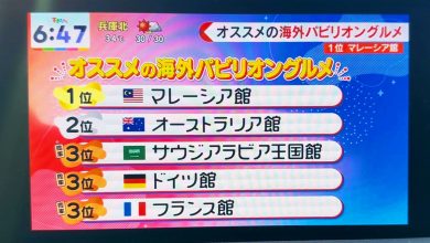 Photo of 大马美食又扬威国外 在日本排名第一！