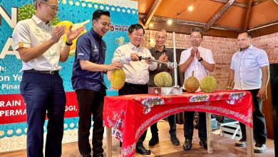 Photo of 槟推动榴梿品种注册 逾200品种获认证