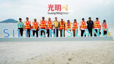 Photo of 衔接槟岛南部 硅岛海上高架桥料2029年初启用