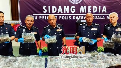 Photo of 住家包装大麻花被捕 3男2女落网