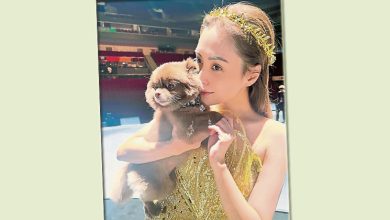 Photo of 阿娇当小孩来养 宠物狗全身名牌
