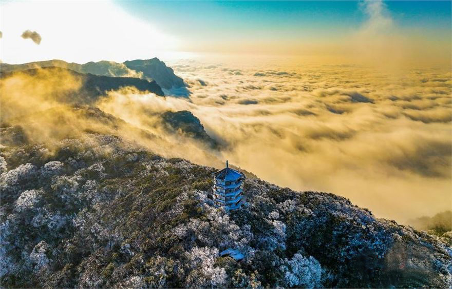 金佛山云海。