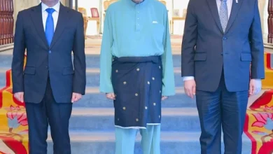 Photo of 陆交局庆雪苏丹华诞 SIS车牌公开竞标