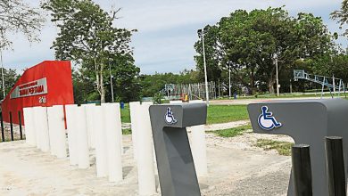 Photo of 第一花园昌明公园亮相 打造舒适休闲空间