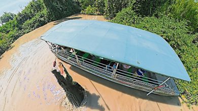 Photo of 从空中掠影到阿德莱德河 欣赏6600万年的掠食智慧