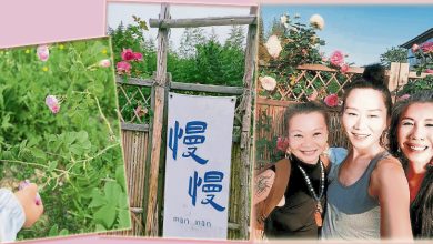 Photo of 【好野人在乌布】苏州玫瑰园
