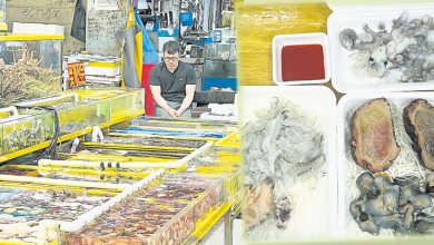Photo of 【自游自在】首尔不带滤镜老市场