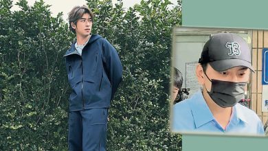 Photo of 王大陆闪兵案外案 扫到陈柏霖