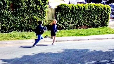 Photo of 英国2少年虐杀小猫 判囚1年及9个月