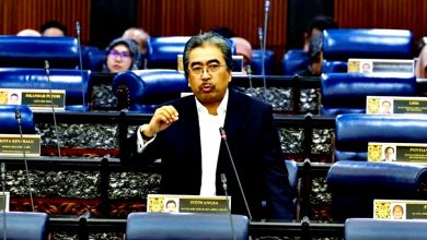 Photo of 国会〡油棕翻种率低落 佐哈利:鲜果串价格上涨成主因