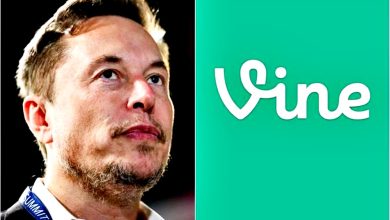 Photo of 马斯克重启Vine AI版短影音宣战 TikTok IG Reels