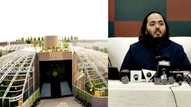 Photo of 涉非法进口动物洗钱 亚洲首富之子动物园被查