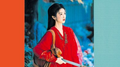 Photo of 白鹿连垮3部戏 想转型公司不OK