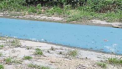 Photo of 黄子轩：废料处理不当河水变蓝 政府应严惩手套厂