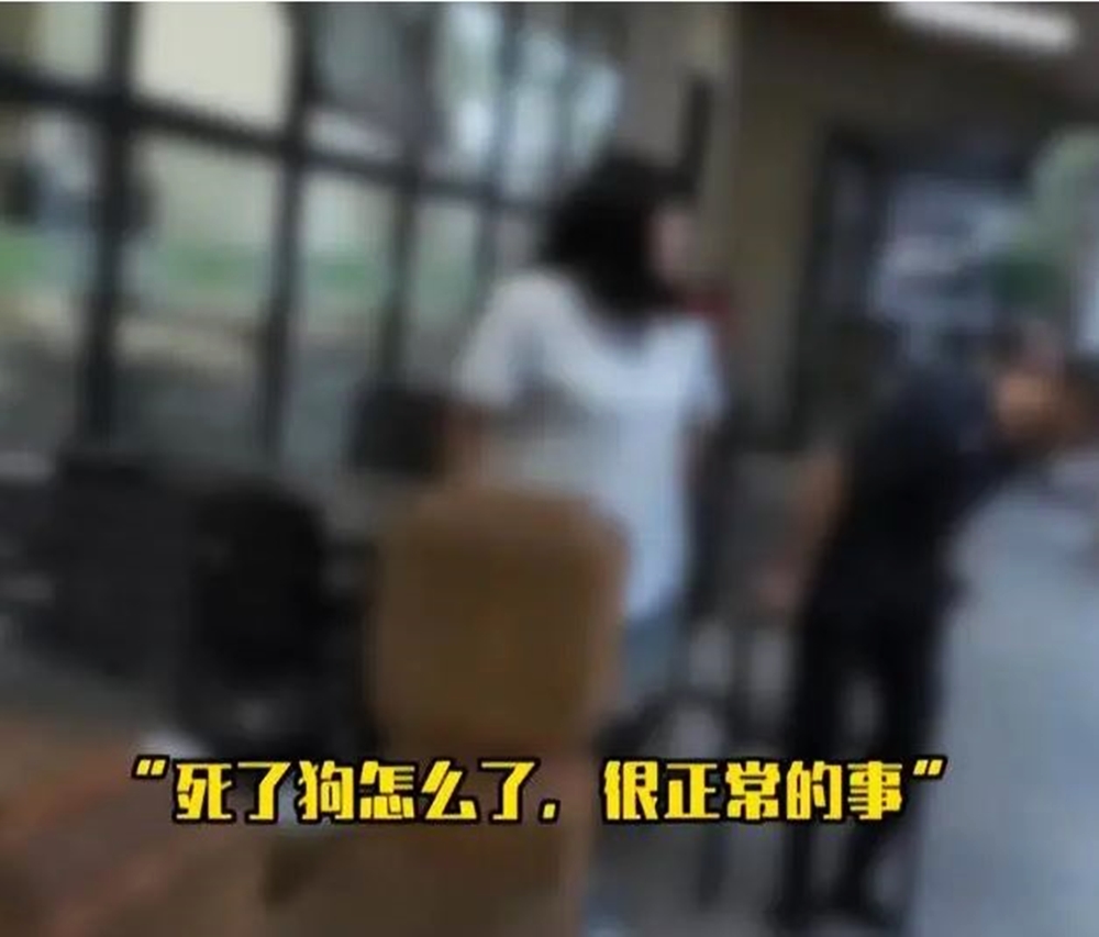 “死狗怎么了，很正常的事”这句冷酷的言语，竟出自一家宠物店员工之口！