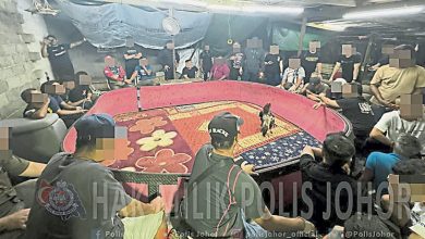 Photo of 柔瓦解2斗鸡场捕43人 起获34斗鸡逾2万元赌资