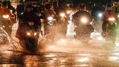 Photo of 强台桦加沙狂舞 大雷雨深夜袭花东