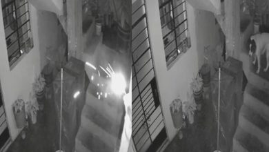 Photo of 点燃炸弹突扔进屋 英勇犬咬断导火线救全家