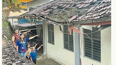 Photo of 强风侵袭培元华小 树倒压坏2教室屋檐