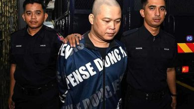 Photo of 超市偷虾蟹伤人及企图伤婴 越南男判监8个月罚2万