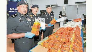 Photo of 警灌木丛起204kg毒品 杂货店东主被捕