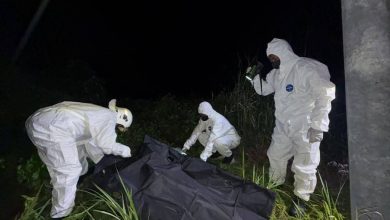 Photo of 77岁老人失踪7天 草丛现腐烂遗体