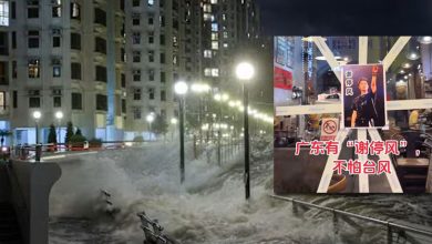 Photo of 台风护身符谢霆锋变“谢停风” 网友幽默对决桦加沙