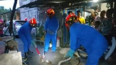 Photo of 屋主发现潜入鸡寮 2.5公尺蟒蛇就擒