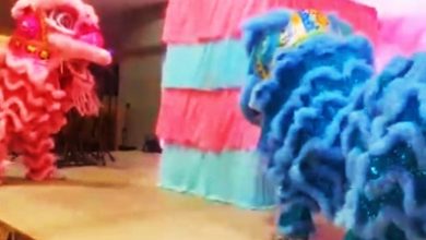 Photo of 醒狮揭宝宝性别火速圈粉 友族也大爱！