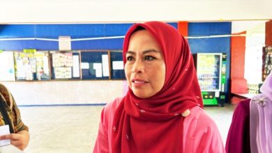 Photo of 妇女政策概述数倡议应对家暴 诺莱妮：扩大受害者社会保护