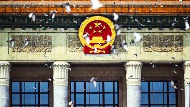 Photo of 【中国九三阅兵】8万和平鸽都是“征用的” 北京市民：鸽子已到家