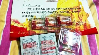 Photo of 养鸽千日 用鸽一时 中国和平鸽亮相天安门 每只“工资”15元