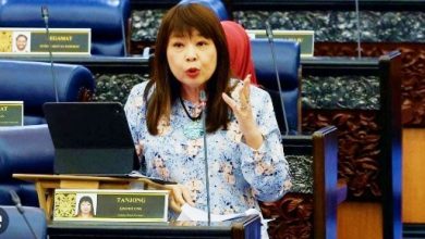 Photo of 林慧英：包括先买后付服务 设委会监管信贷商