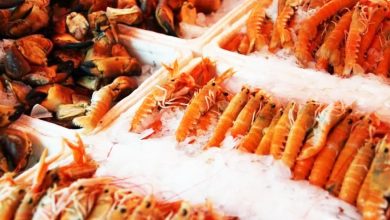 Photo of 一家三口中毒送院治疗 生腌螃蟹差点变“送命料理”