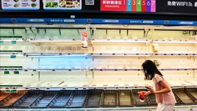 Photo of “桦加沙”料周三登陆深圳至徐闻一带 广东进入临战状态