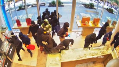 Photo of 加州20多人结伙抢劫珠宝店421万商品 已逮捕7嫌