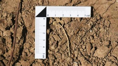 Photo of 距今约4500年稀有文物 土耳其出土胸针玉石