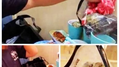 Photo of 【视频】吃自助餐连盒带盘打包回家 男子被踢爆是医疗辅助队前队员