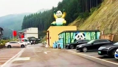 Photo of 游客被索逾2千万停车费 景区：非属我们场地