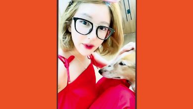 Photo of 赵露思爱犬走失 网友助寻回