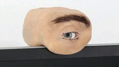 Photo of “仿真人眼Webcam”外型逼真到令人心寒　眼珠追着你看！还能互动