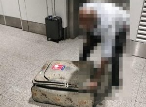 Photo of 企图走私2稀有保育动物 46岁本地男子KLIA被逮