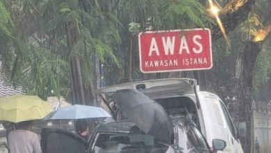 Photo of 又是狂风暴雨 老虎巷树倒压车